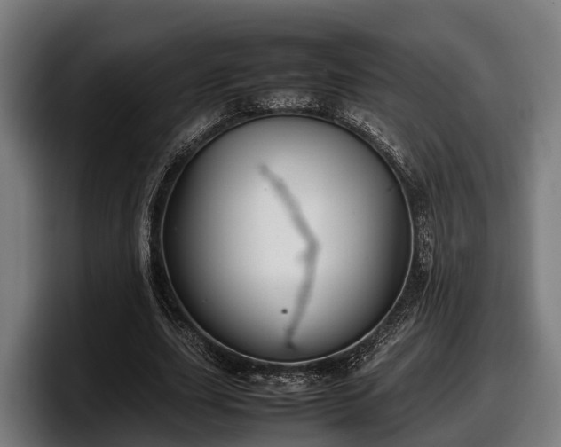 X0000097820631200803201438