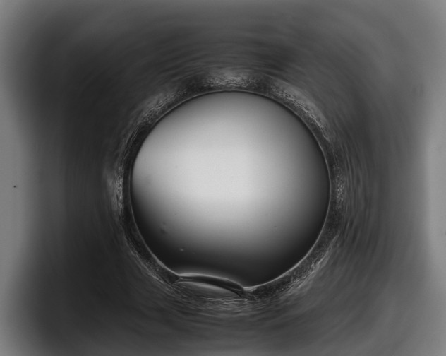 X0000097820633200803201438