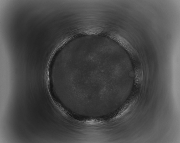 X0000097820634200803201438