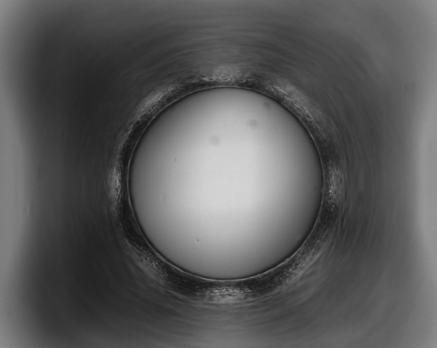 X0000097820636200803201438