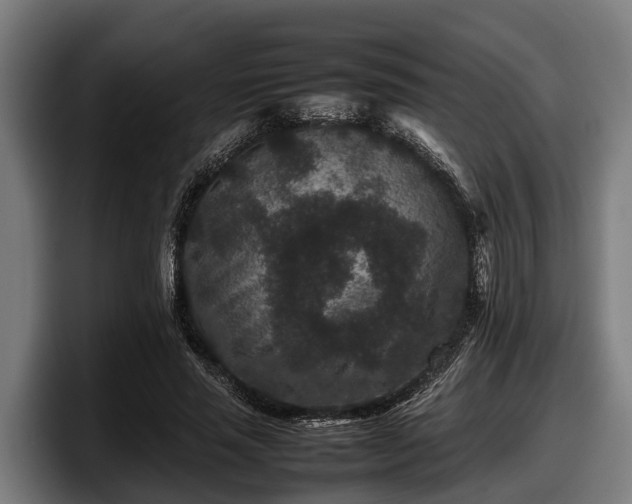 X0000097820637200803201438