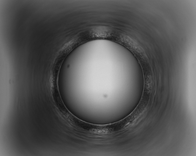 X0000097820639200803201438