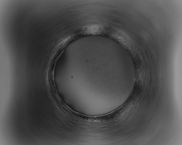 X0000097820640200803201438