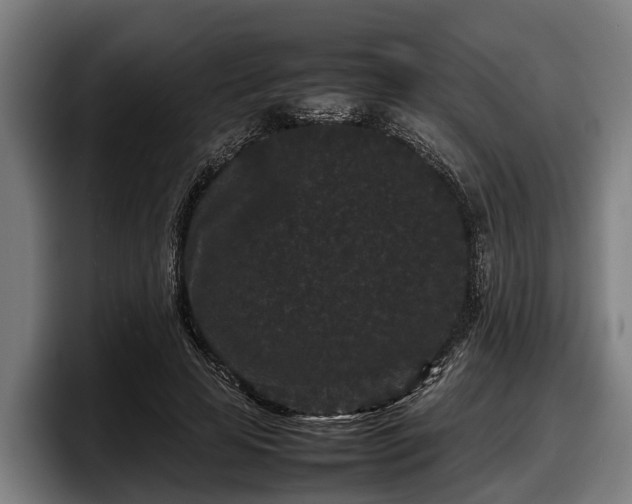 X0000097820641200803201438