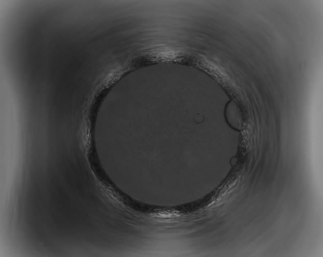 X0000097820642200803201438