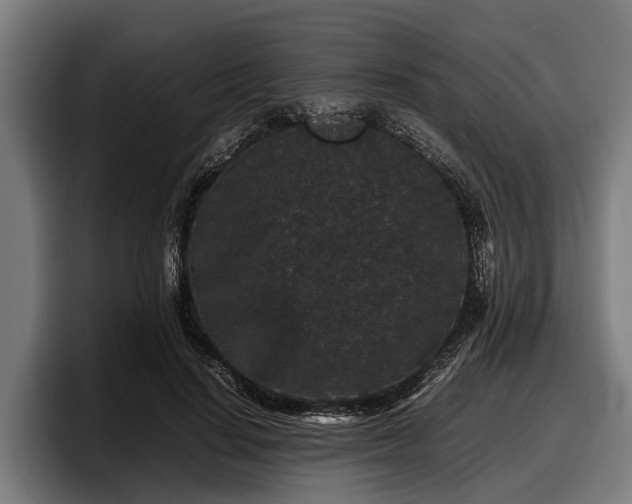 X0000097820644200803201438