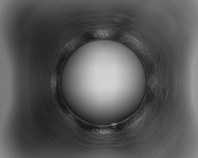 X0000097820645200803201438