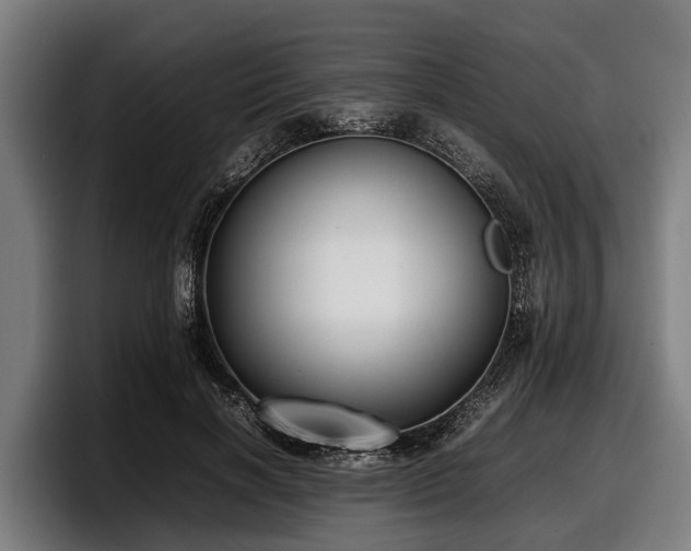 X0000097820646200803201438