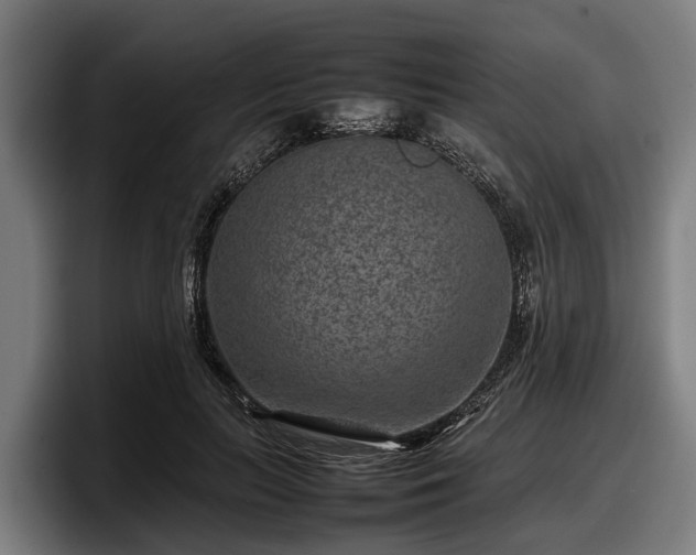 X0000097820647200803201438