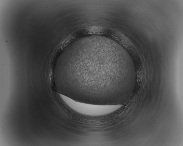 X0000097820648200803201438