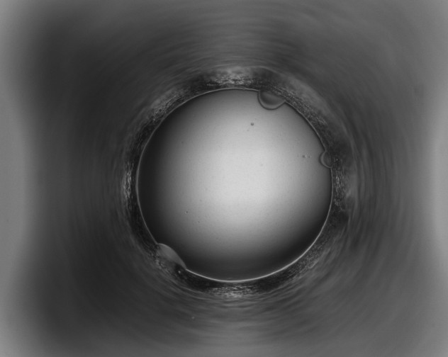 X0000097820652200803201438