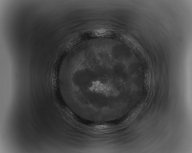 X0000097820653200803201438