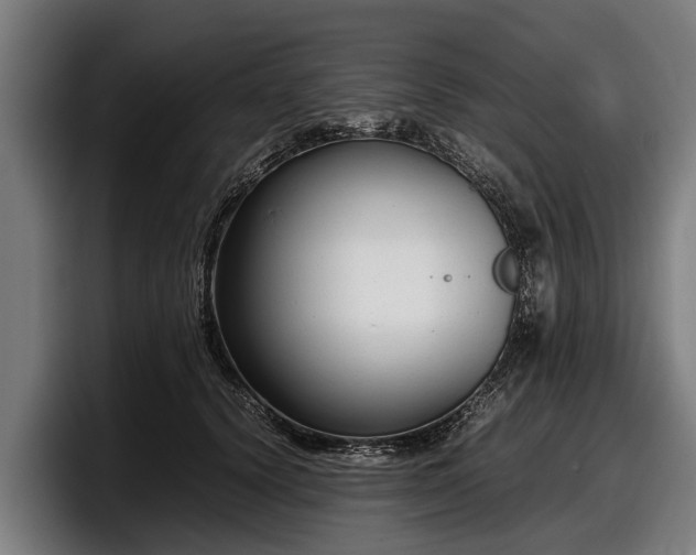 X0000097820656200803201438