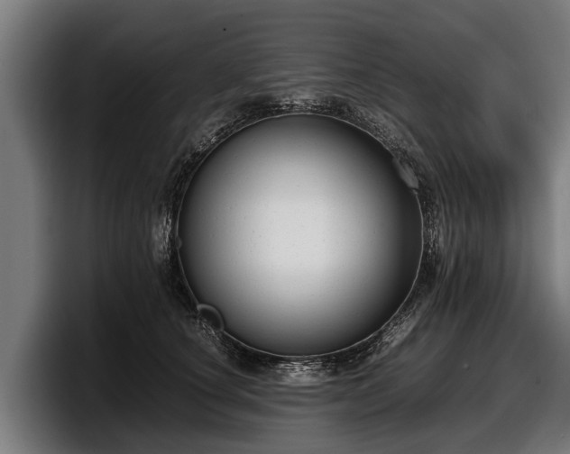 X0000097820660200803201438