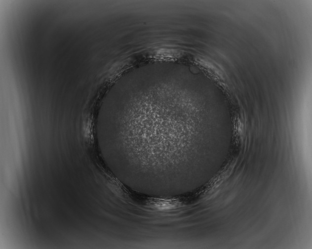 X0000097820663200803201438