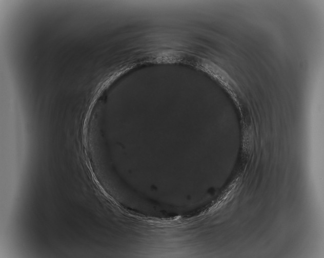 X0000097820673200803201438