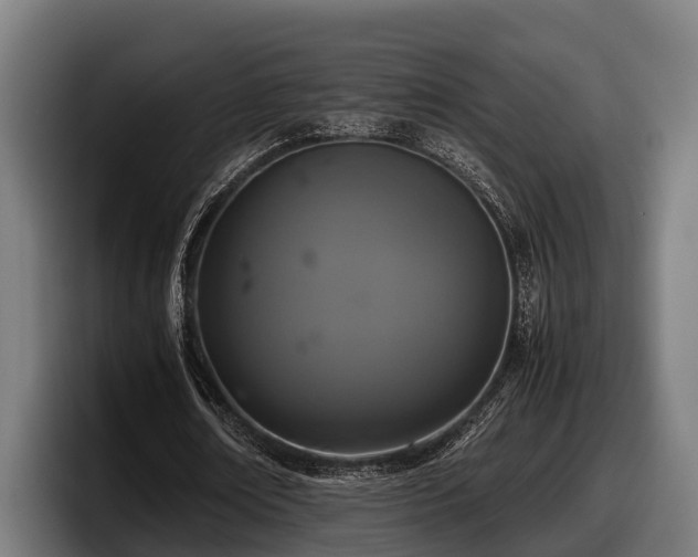 X0000097820674200803201438