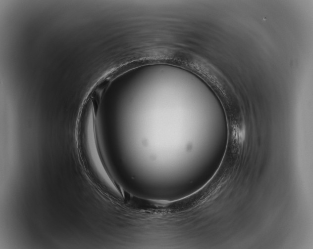 X0000097820676200803201438