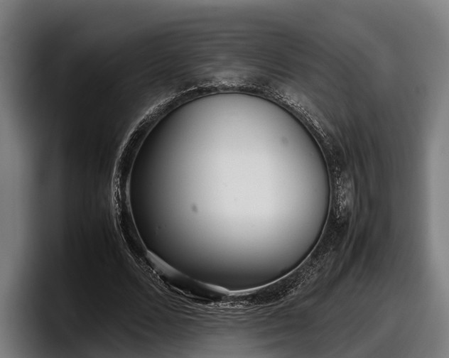 X0000097820680200803201438