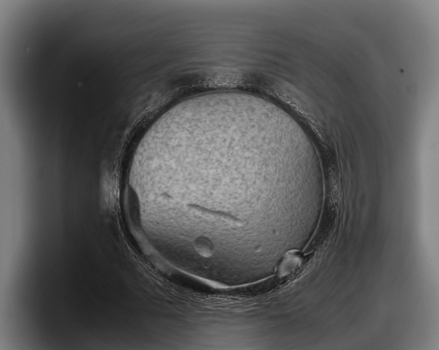 X0000097820681200803201438