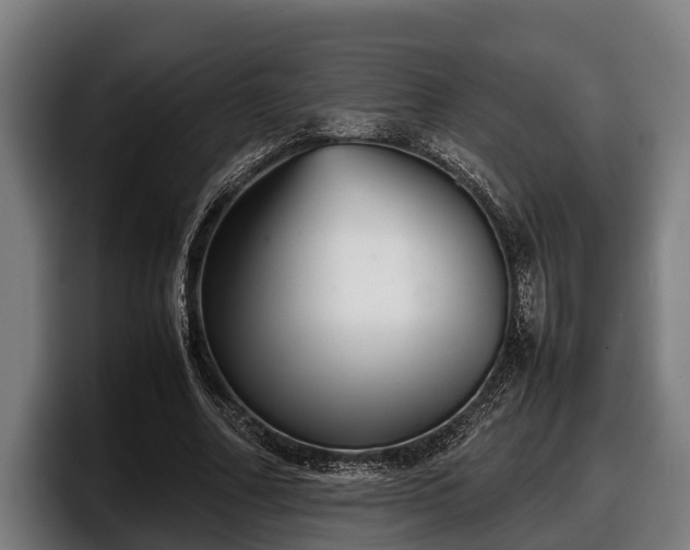 X0000097820682200803201438