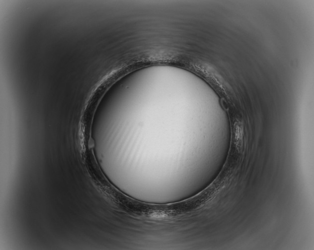 X0000097820684200803201438