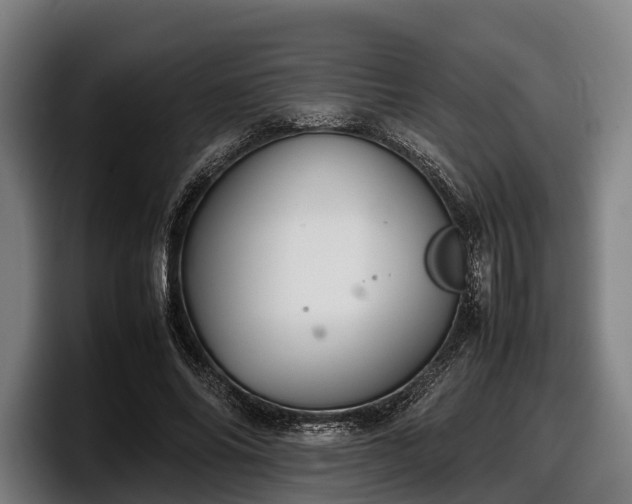 X0000097820686200803201438