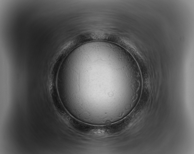 X0000097820687200803201438