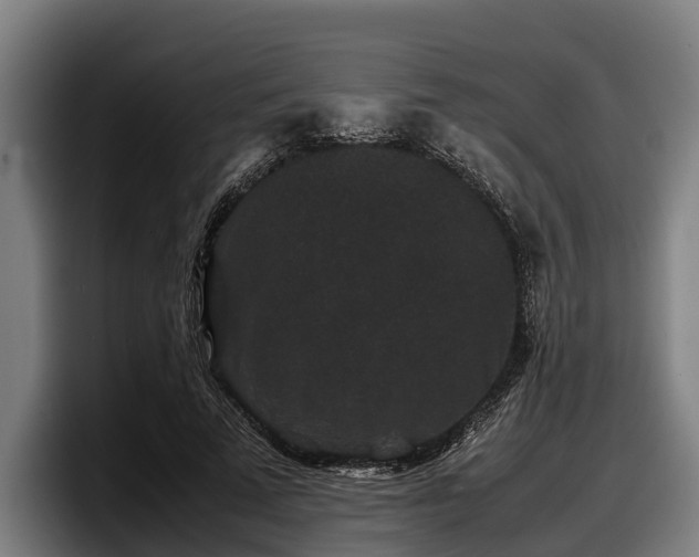 X0000097820689200803201438