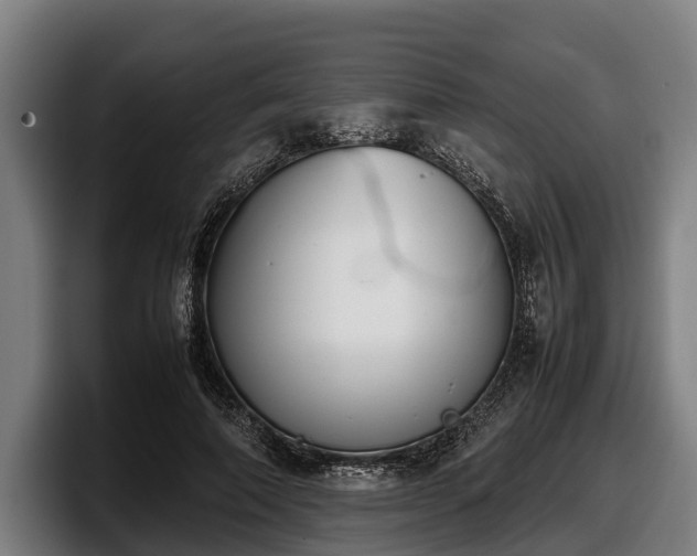 X0000097820690200803201438