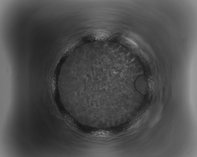 X0000097820691200803201438