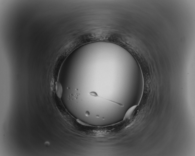 X0000097820693200803201438