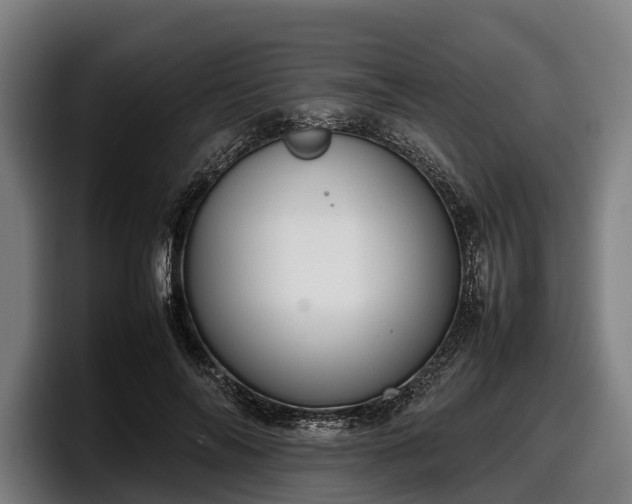 X0000097820694200803201438