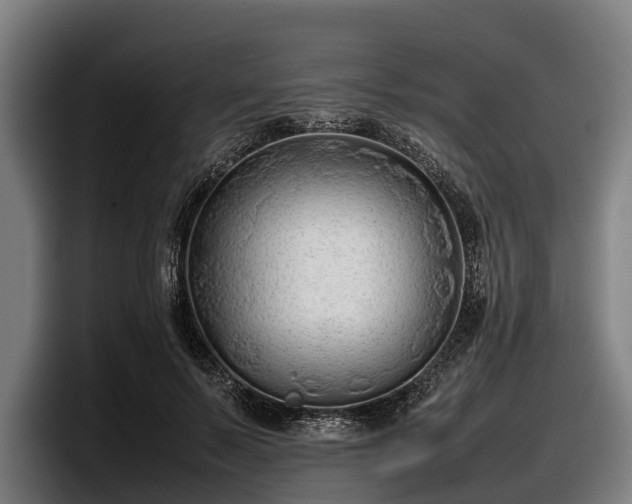 X0000097820695200803201438