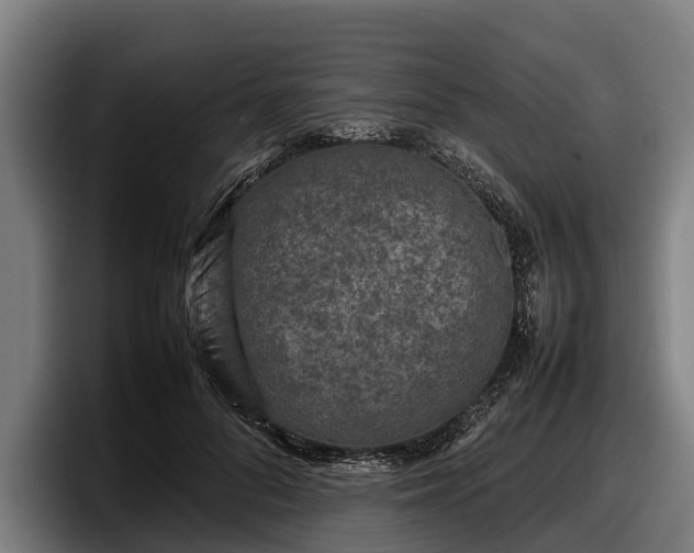 X0000097820696200803201438