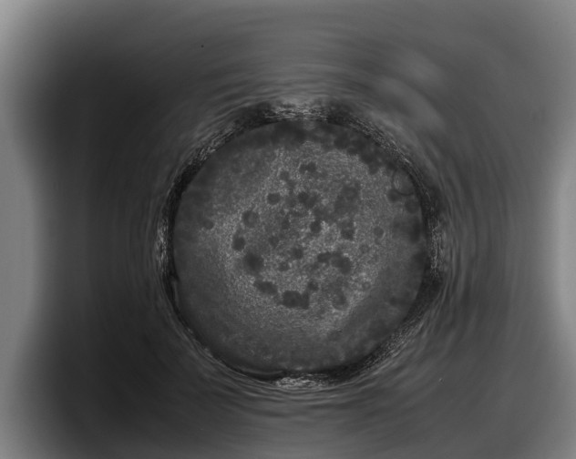 X0000097820699200803201438