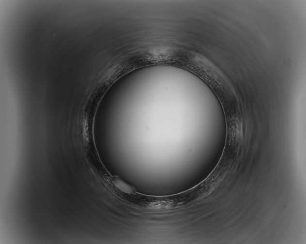 X0000097820700200803201438