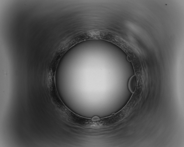 X0000097820702200803201438