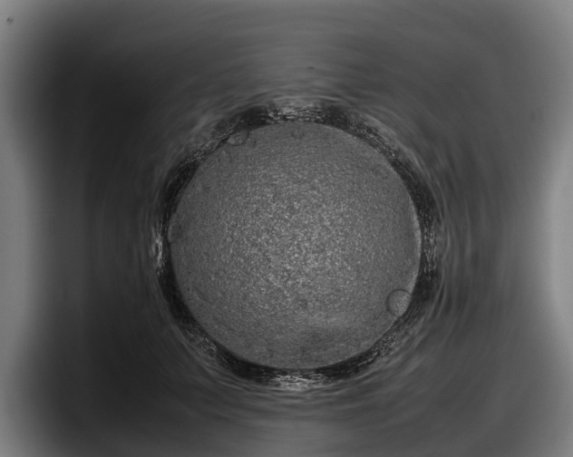 X0000097820703200803201438