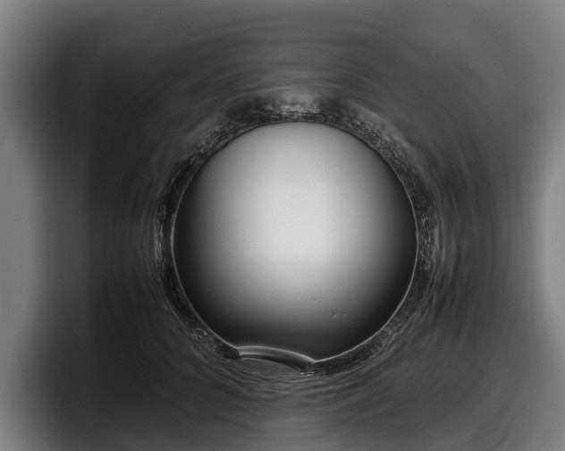 X0000097820704200803201438