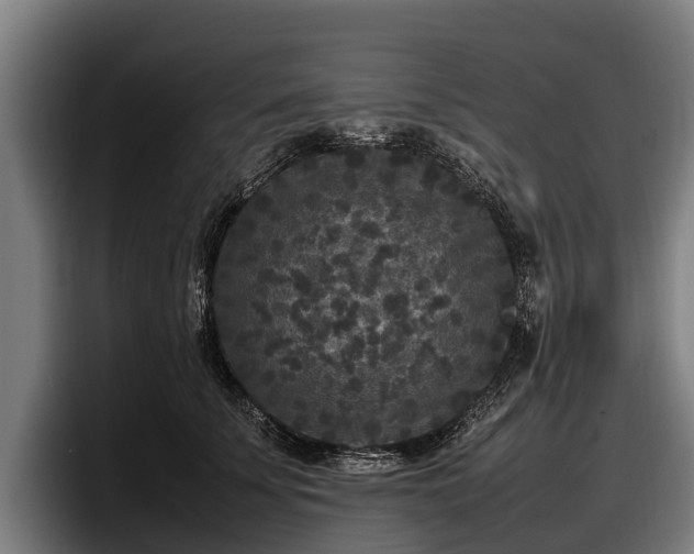 X0000097820707200803201437