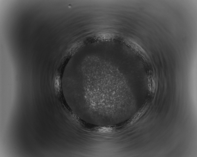 X0000097820718200803201437