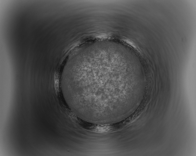 X0000097820720200803201437