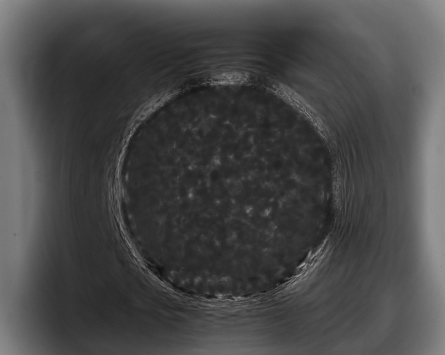 X0000097820721200803201437