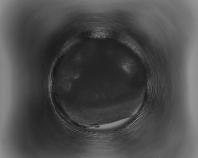 X0000097820722200803201437