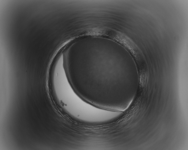 X0000097820724200803201437