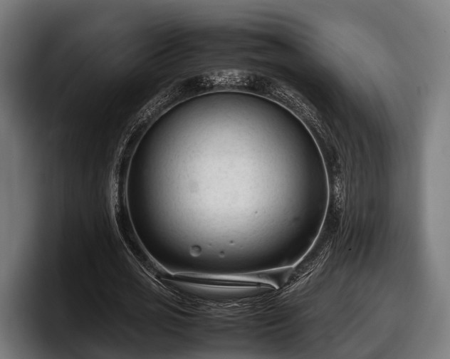 X0000097820725200803201437