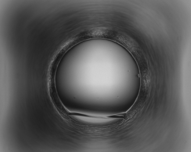 X0000097820728200803201437