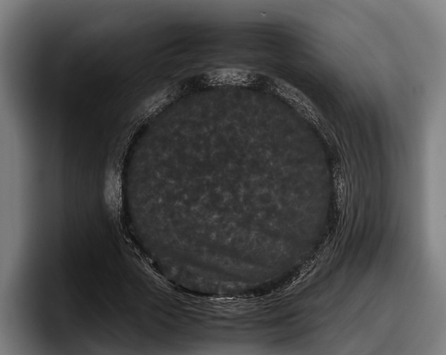 X0000097820729200803201437