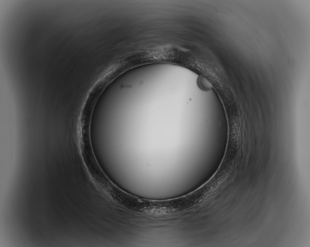 X0000097820730200803201437